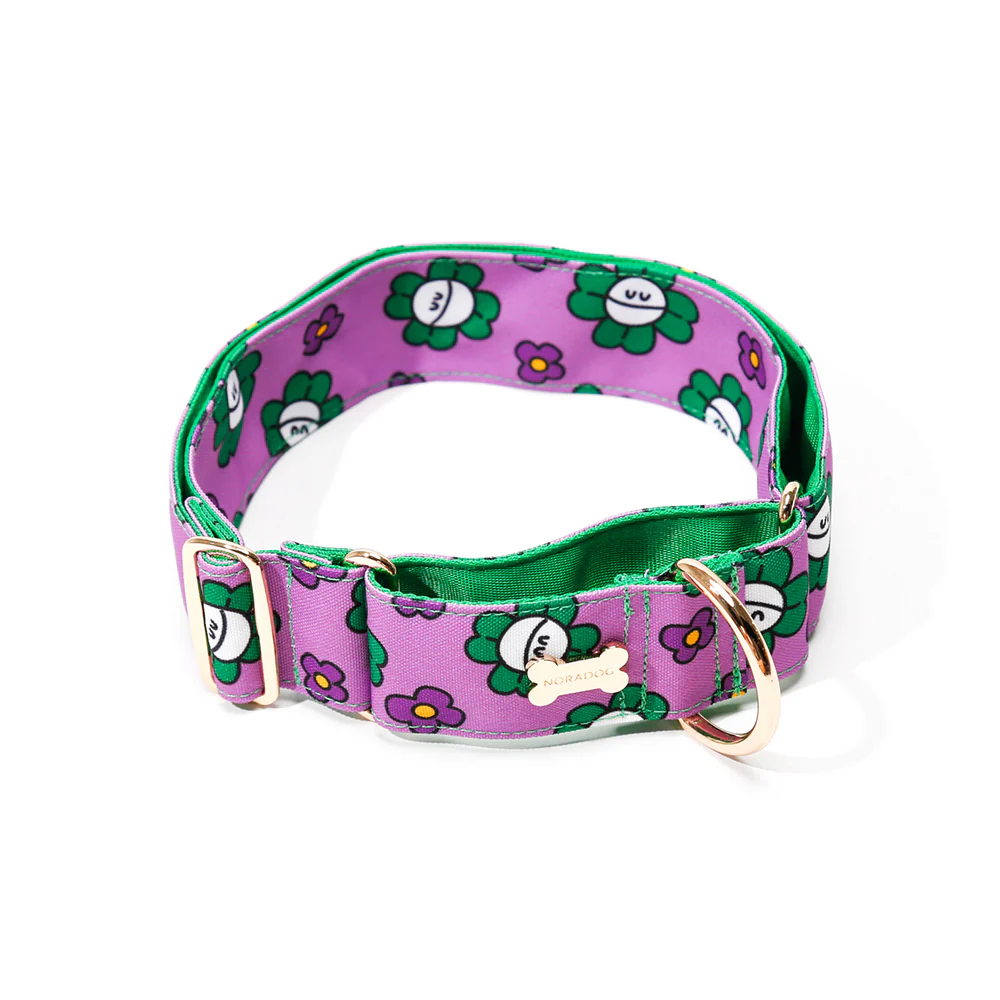 Noradog Mr Clover – Martingale Collar
