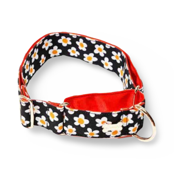 Noradog Daisy – MartinGale Collar