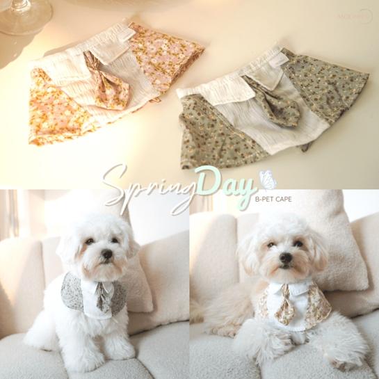 Spring Day – Boy Pet Cape