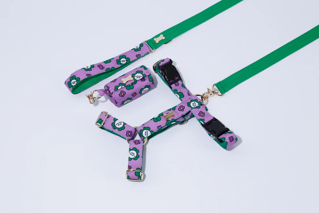 Noradog Mr Clover – H Harness