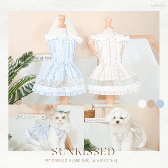 Sunkissed – Pet Dress