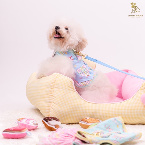 GP0140 - Lolly Fairyland in Blue Sky