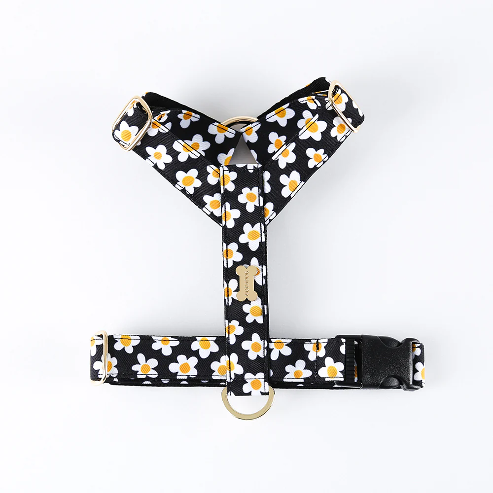 Noradog Daisy – H Harness