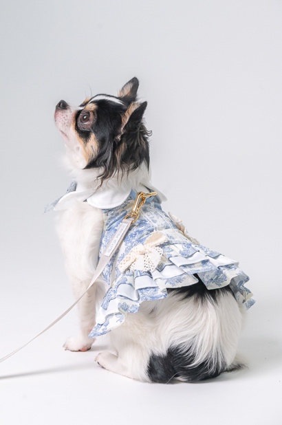 GP0148 - Maiden Romance Blue