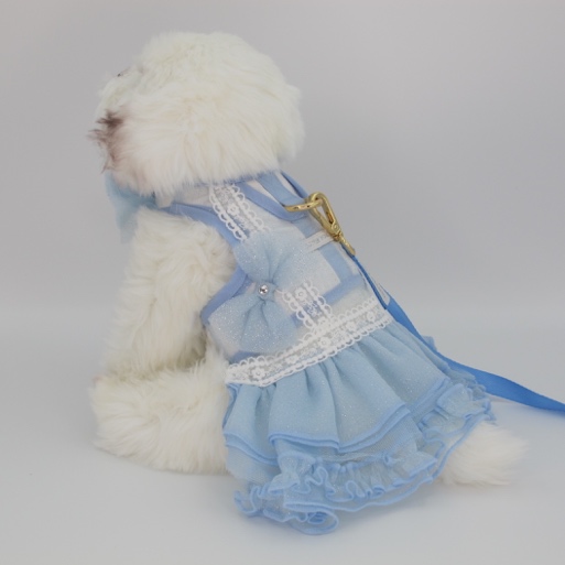 GP0216 - BOWnebelle Charmy - Sky