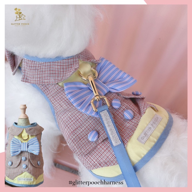 GP0056 - Back to School Boy