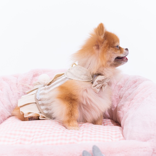 GP0184 - Belle Bobble