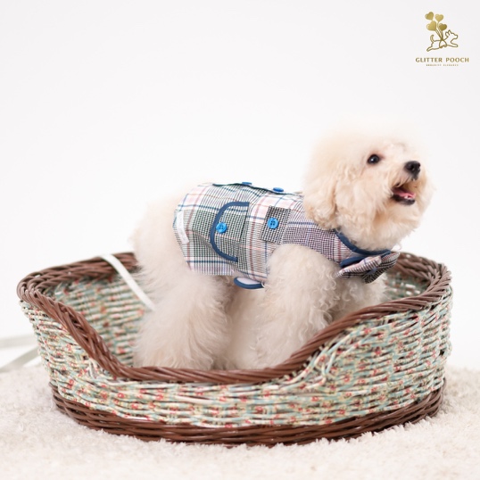 GP0064 - Prince Charm School