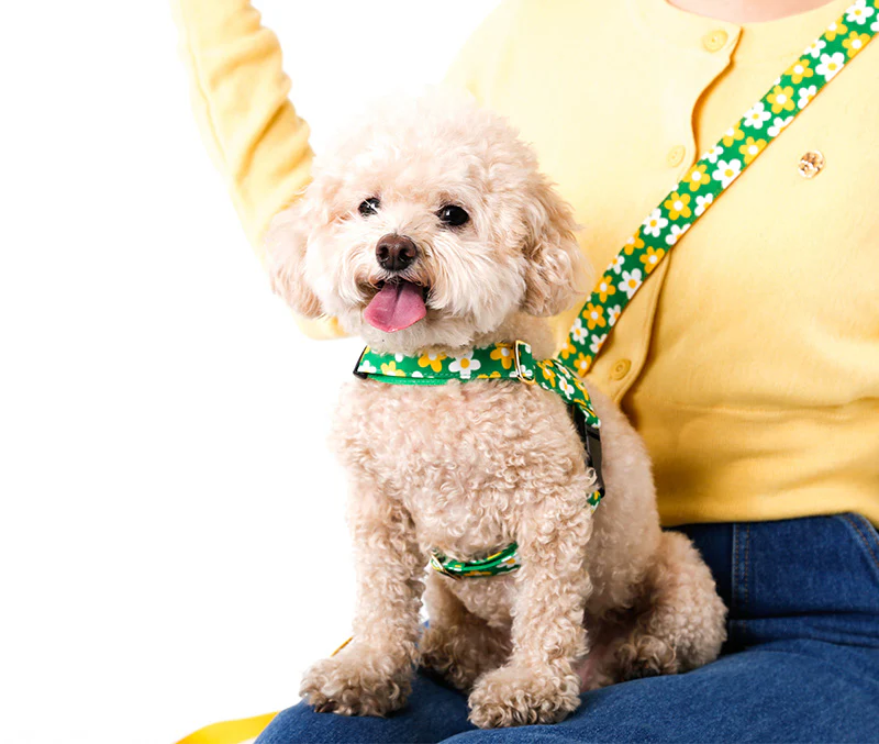 Noradog Picnic – Easy Harness