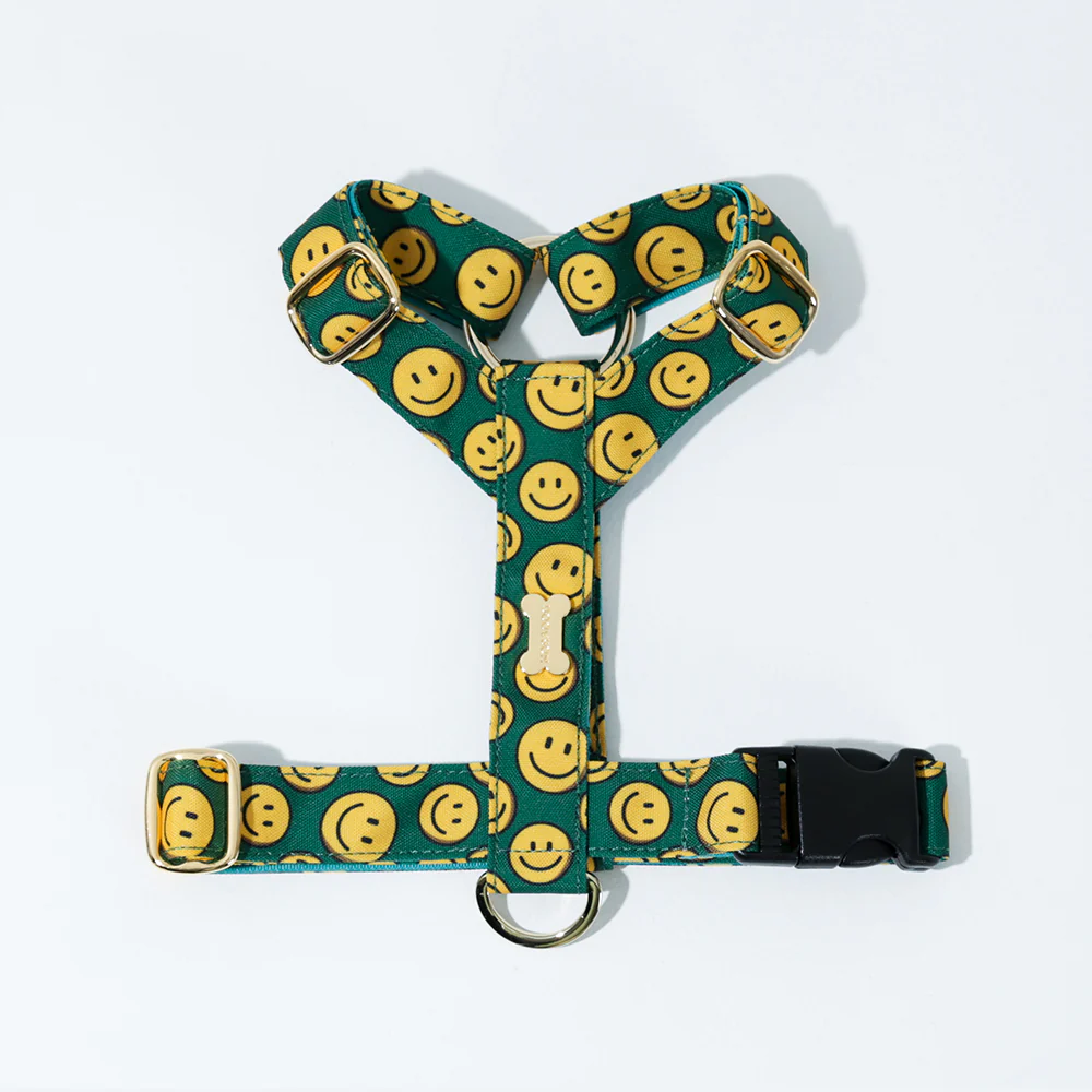 Noradog Charlie Smile – H Harness