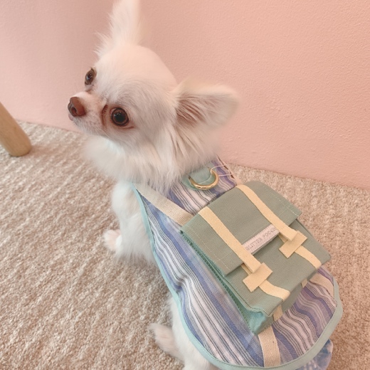 GPAB114B- Vacay Ready Boy Blue