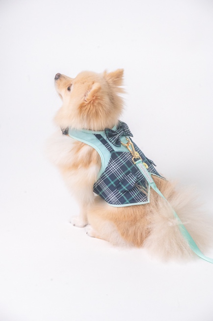 GP0152 - Mint Suit Gentleman