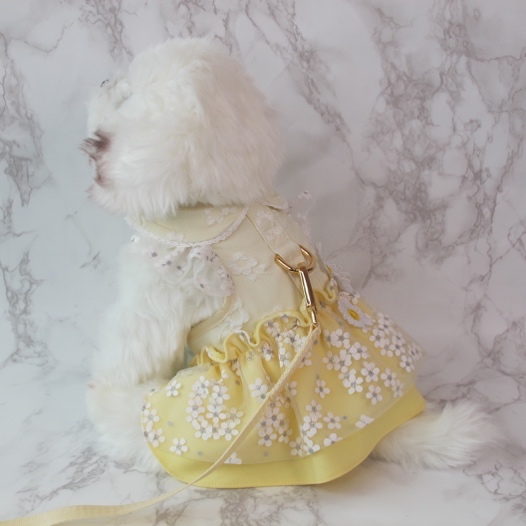 GP0228 - Deary Daisy Vanilla (Yellow)