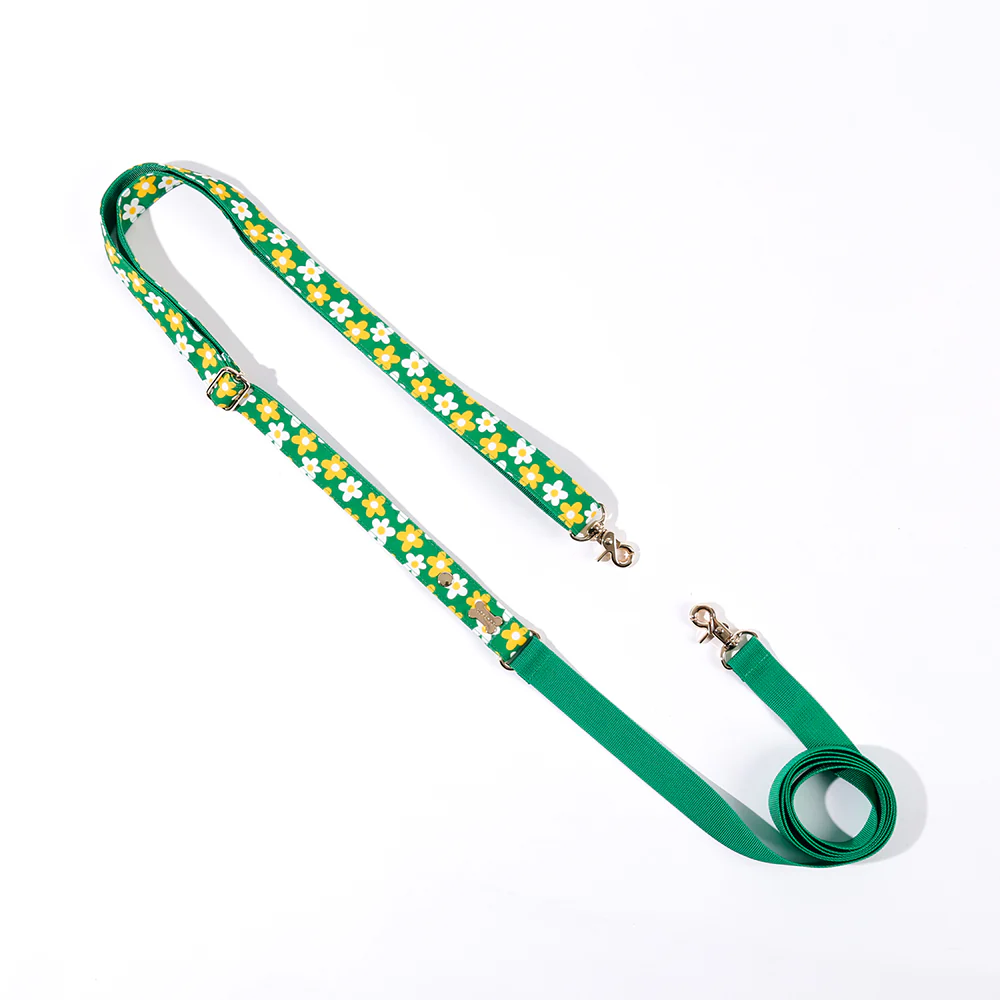 Noradog Picnic – Long Leash (Under 7kg)