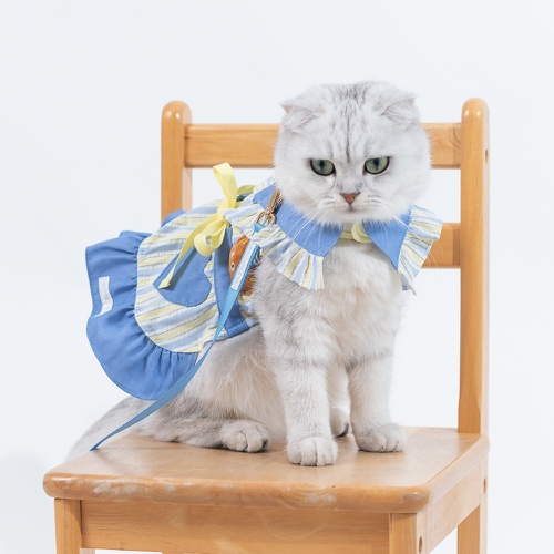 GP0165 - C'est Jeudi Hearty