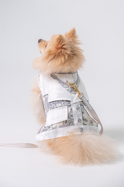 GP0147 - Monte Romance