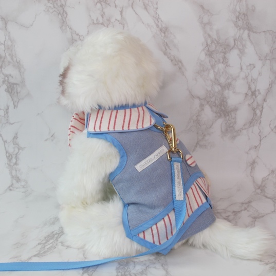 GP0229 - Icy Candy Cane (B)