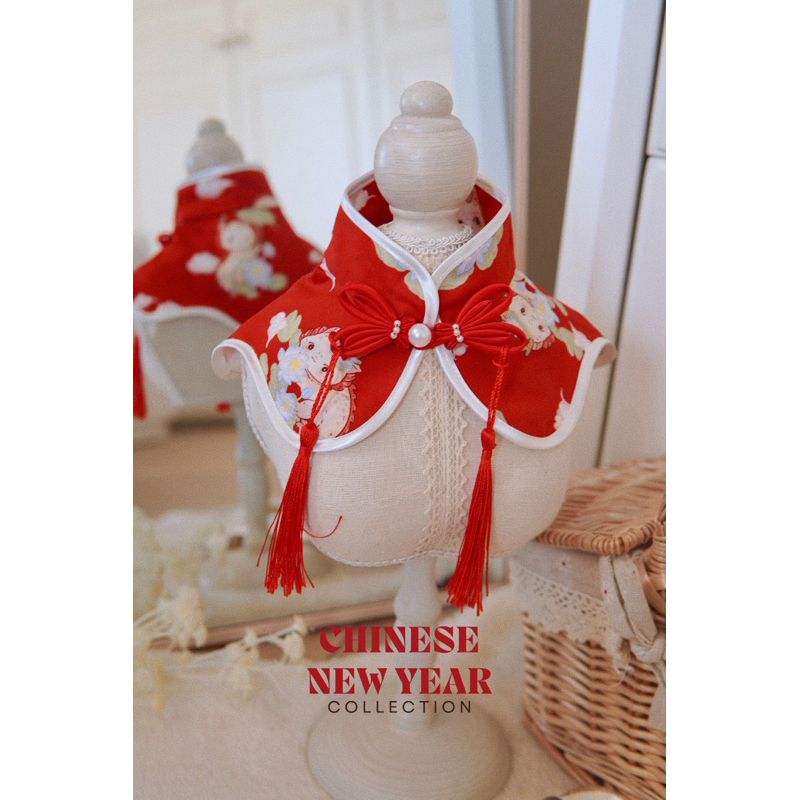 Little Dragon in the Lotus Pond