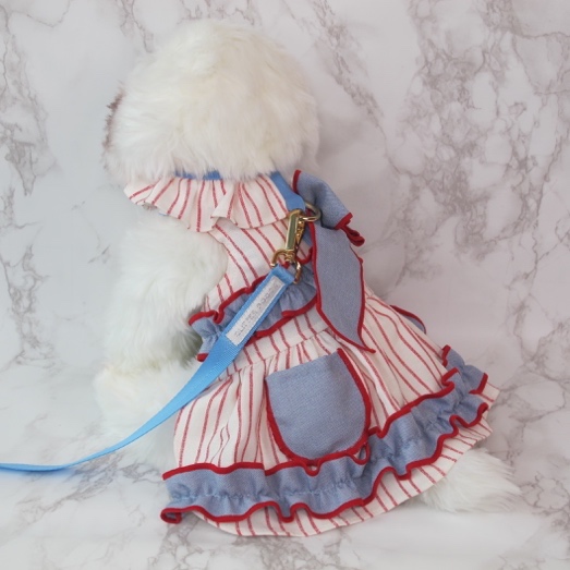 GP0230 - Wintry Candy Cane (G)