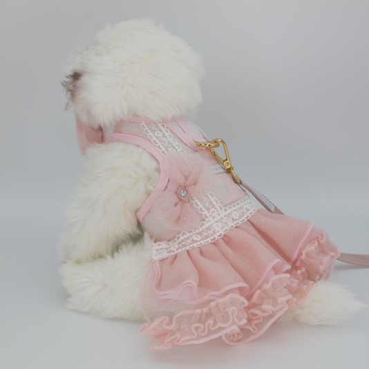 GP0214 – BOWnebelle Charmy - Rose