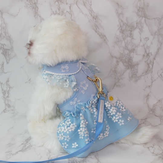 GP0227 - Deary Daisy Serene (Blue)