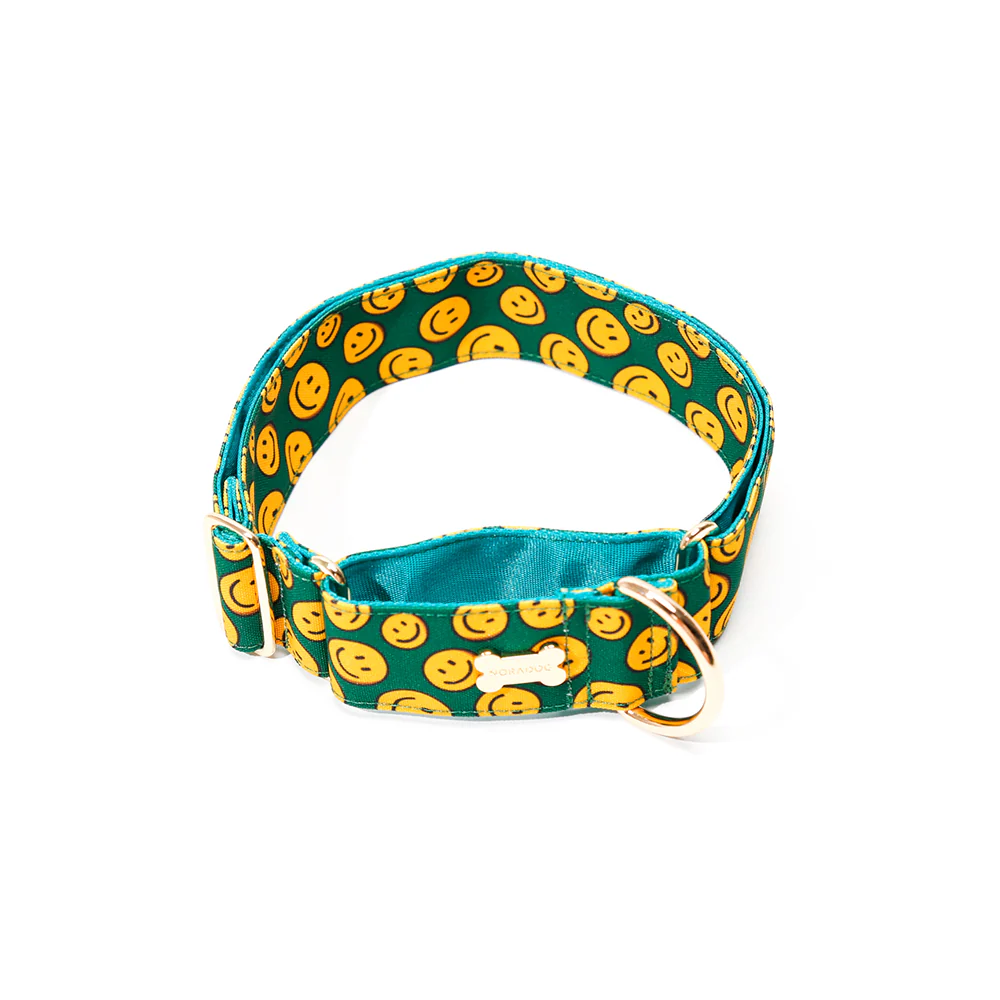 Noradog Charlie Smile – Martingale Collar