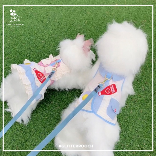 GPAB125- Breakfast Dates Boy