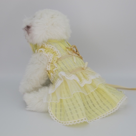 GP0217 - Twinkle Buttery (Yellow)